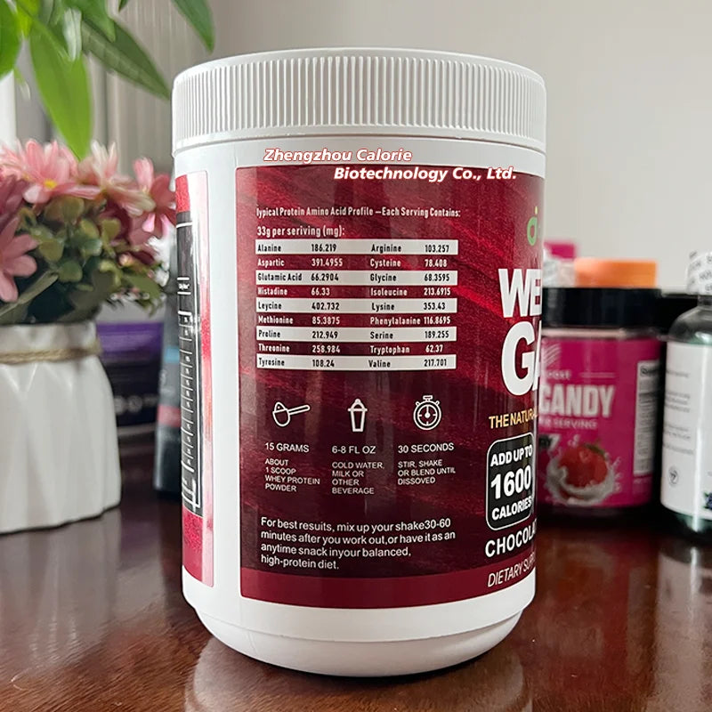 Factory Private Label Sports Mass Gainer Bodybuilding Weight Supplement Powder for Adults