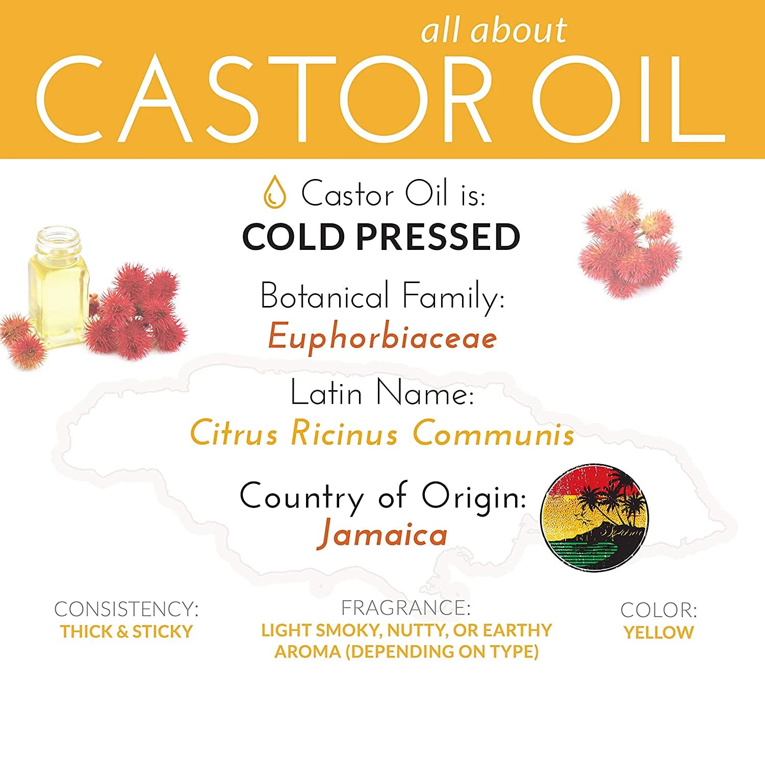 Wholesale Bulk Price Cold Pressed Jamaican Black Castor Oil for Hair Care 100% Pure Natural Raw Castor Oil